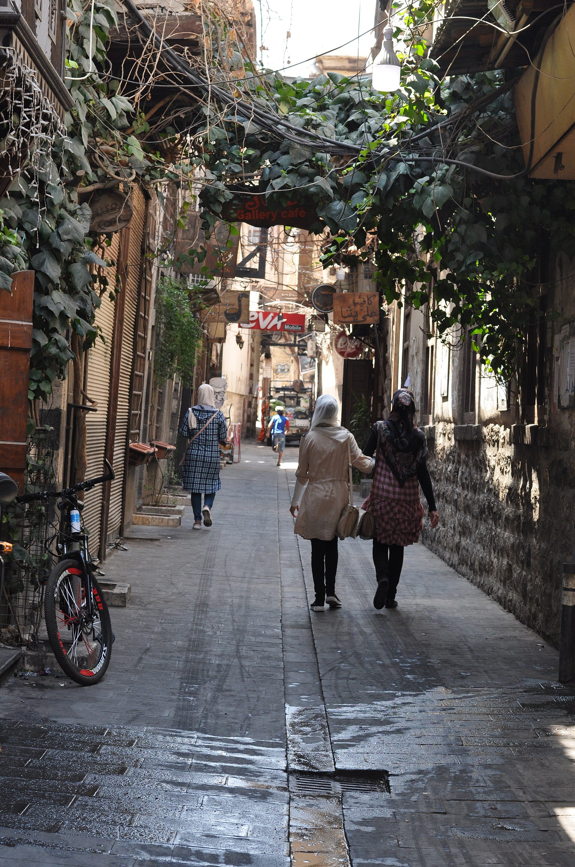A green alley in old Damascus, vines running along the walls above head height.