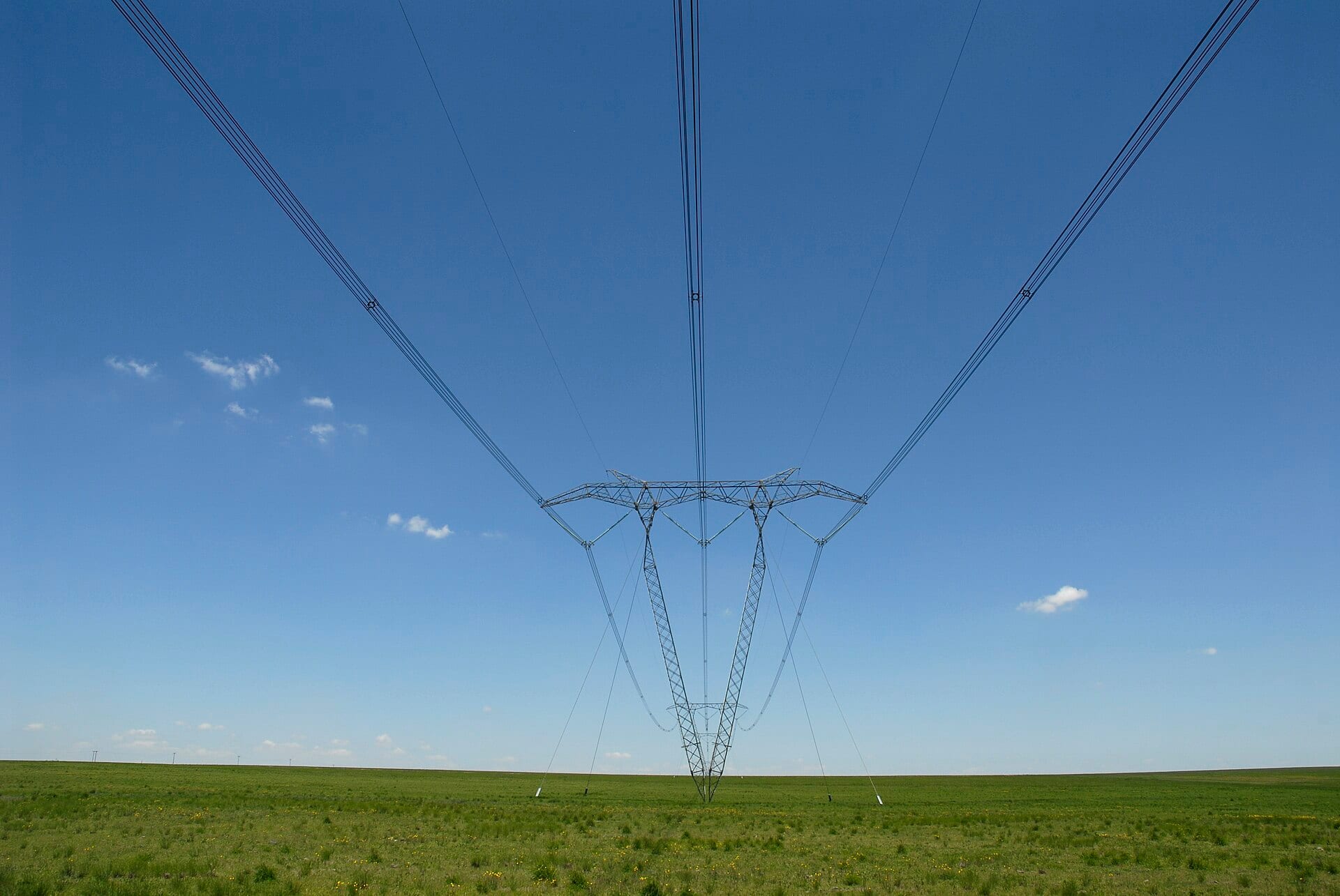 A guyed steel suspension tower standing alone in open grassland, its conductors running away to both horizons.