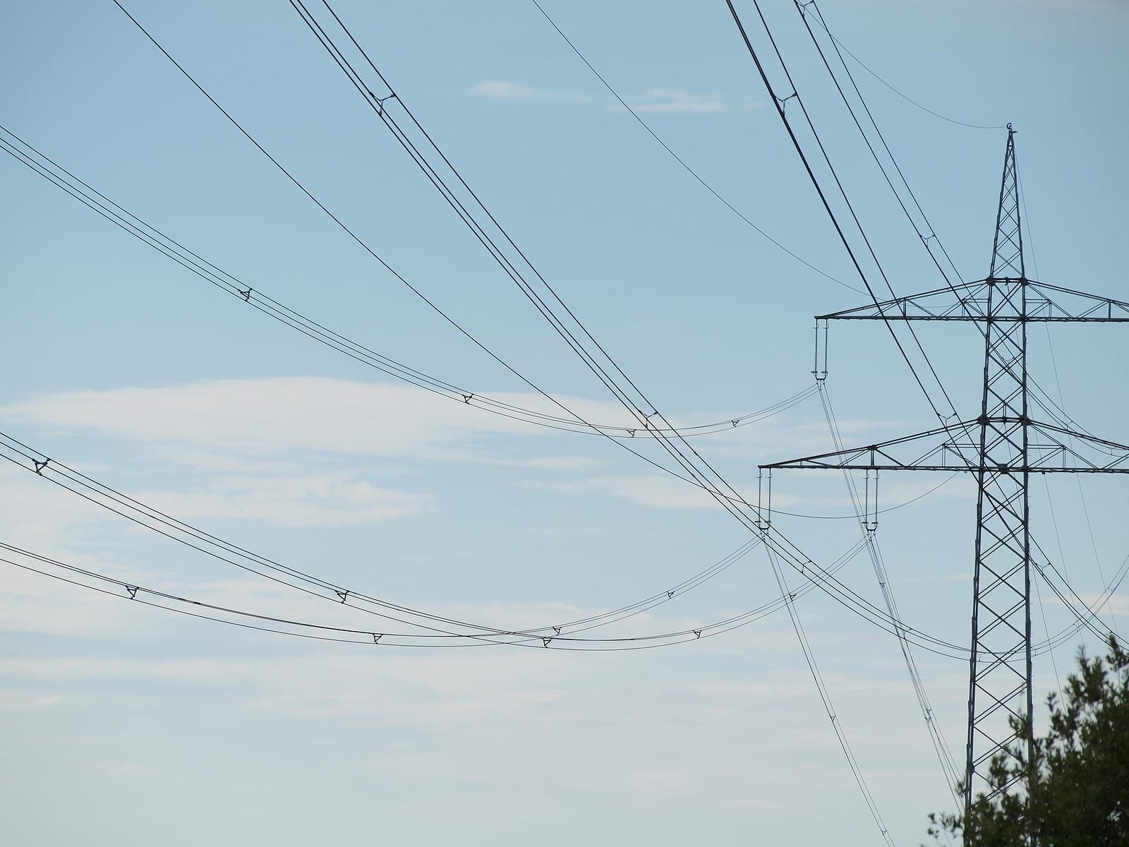 A close view of bundled conductors held apart by metal spacers along the span.
