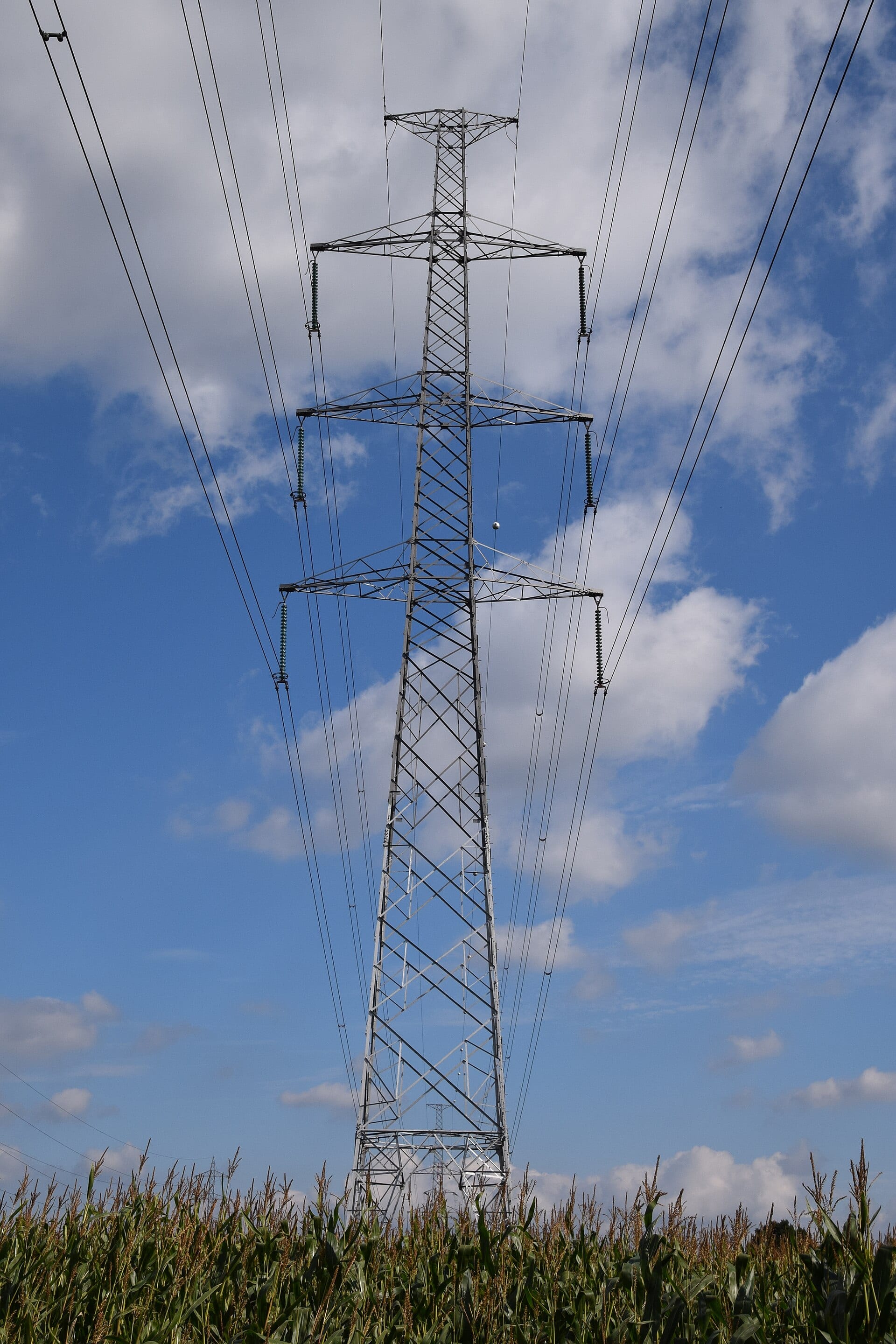 A tall lattice transmission tower carrying two circuits, photographed from below against a pale sky.